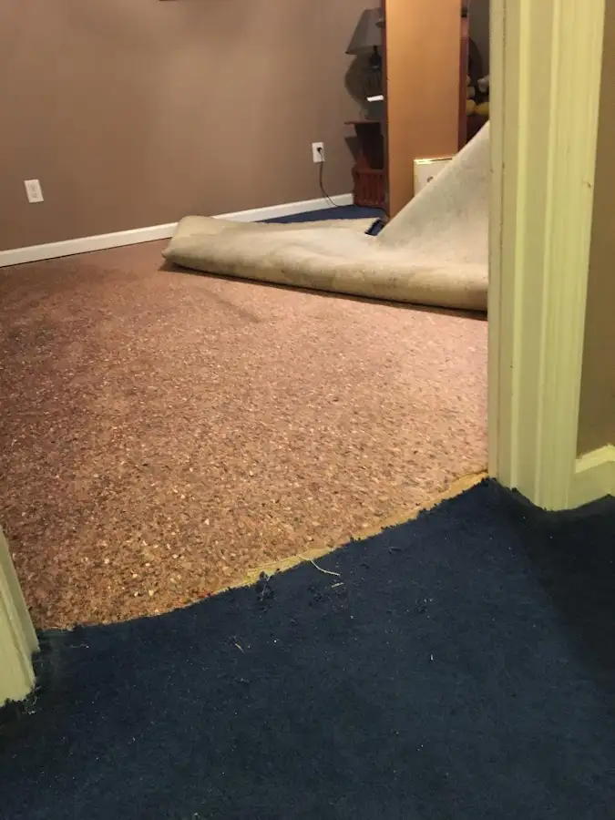 Carpet pad removal revealing water damage during Drying & Dehumidification in South Heidelberg